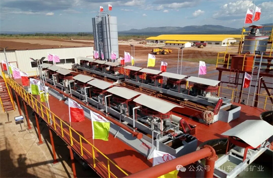 double-direct-flotation-for-phosphate-ore.jpg double-direct-flotation-for-phosphate-ore.jpg