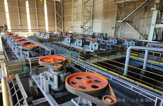 reverse-direct-flotation-for-phosphate-ore.jpg reverse-direct-flotation-for-phosphate-ore.jpg