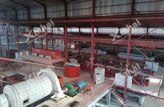 Nigeria 1000tpd copper-silver concentrator project