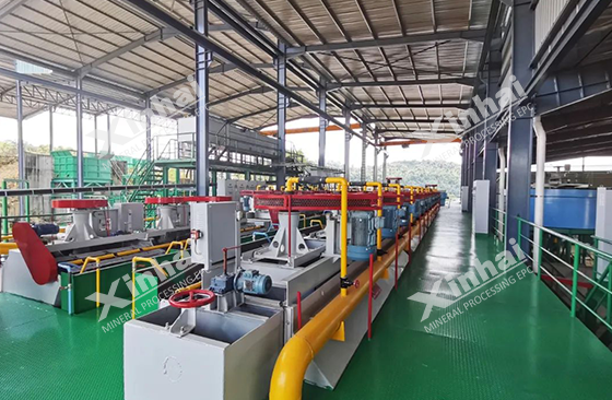 Malaysia 550 TPD lead-zinc concentrator project