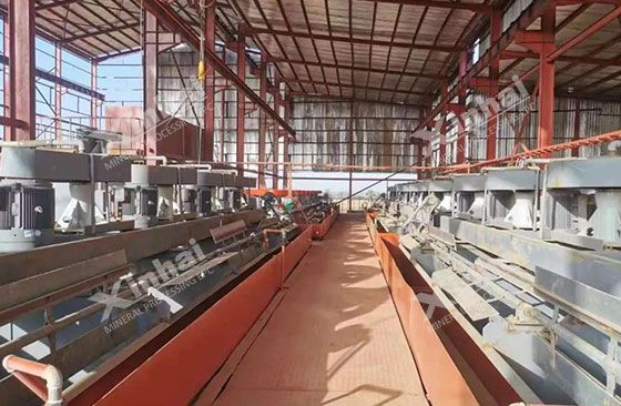 Nigeria 1,000tpd copper and silver ore dressing plant project