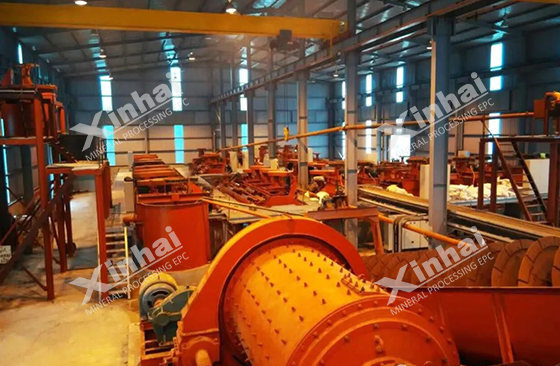 Vietnam 800 TPD graphite concentrator project