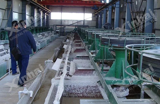 Inner Mongolia 700t/d Fluorite Mineral Processing Plant