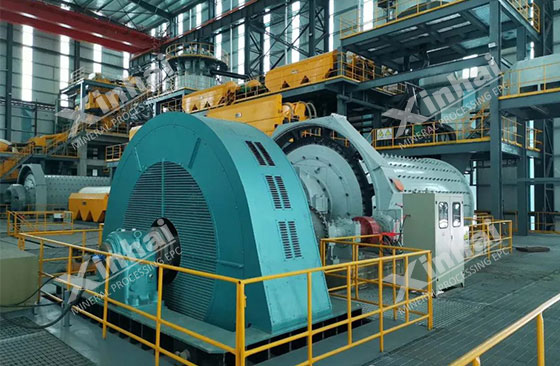 iron ore concentrator project