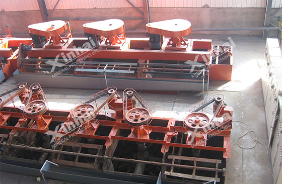 molybdenum mineral flotation machine