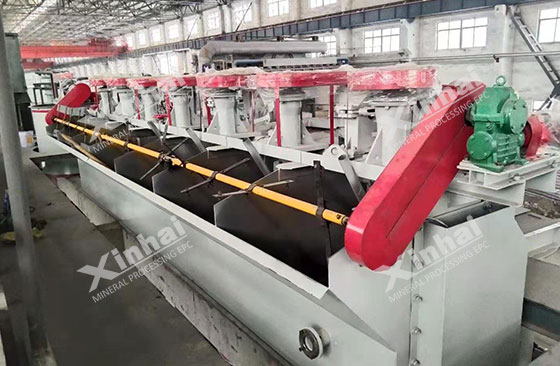 xinhai mineral flotation process system