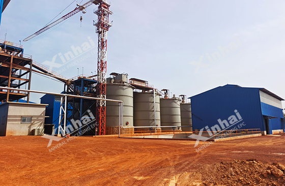 Cyanidation equipment for gold ore beneficiation