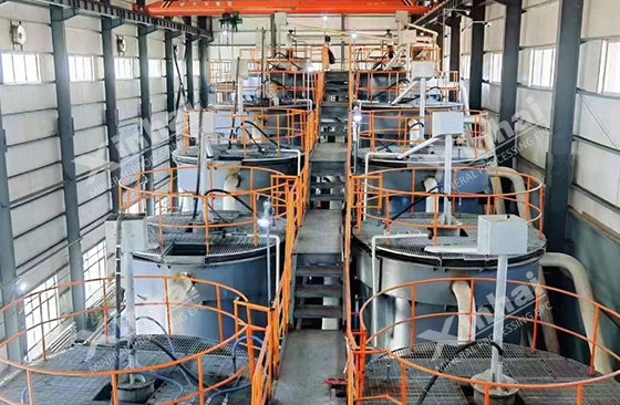 gold ore beneficiation system