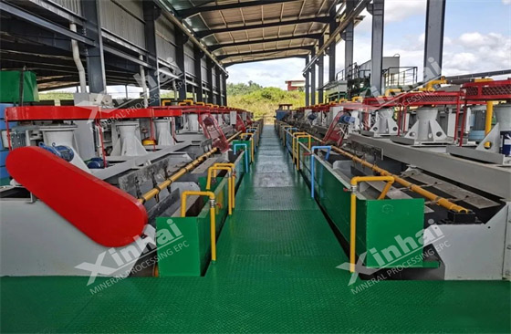 malaysia-550tpd-lead-zinc-ore-beneficiation-plant-project.jpg