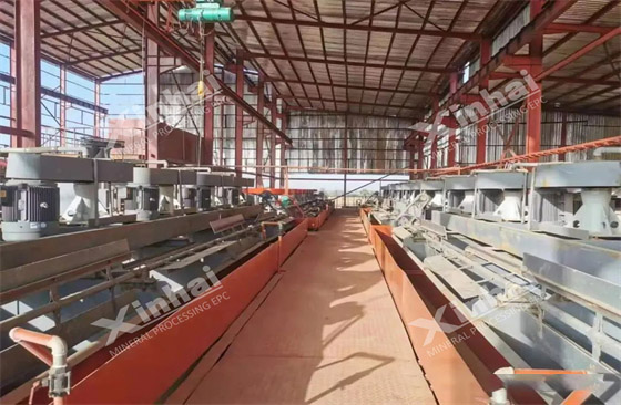 nigeria-1000tpd-copper-silver-ore-beneficiation-plant-project.jpg