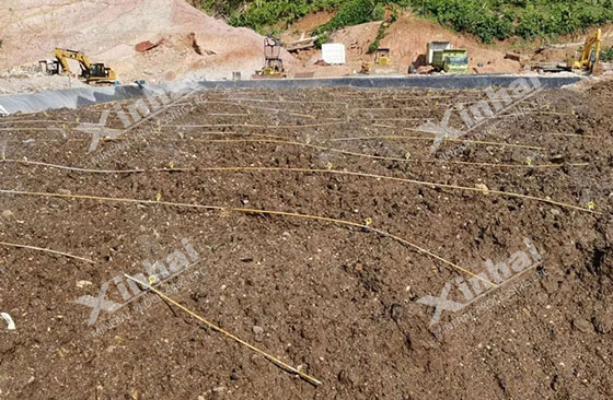 Gold Ore Heap Leaching Process