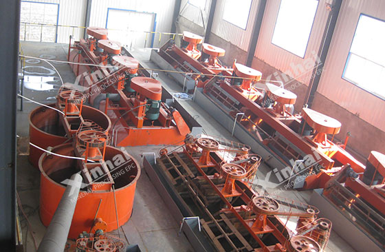 molybdenum ore beneficiation