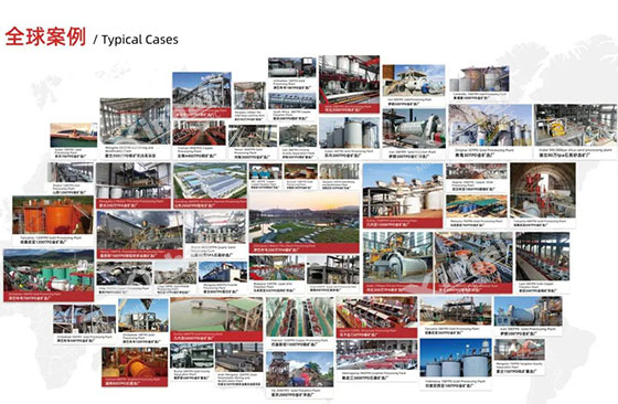 xinhai global typical cases